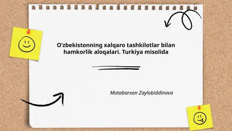 Oʻzbekistonning xalqaro tashkilotlar bilan hamkorlik aloqalari. Turkiya misolida