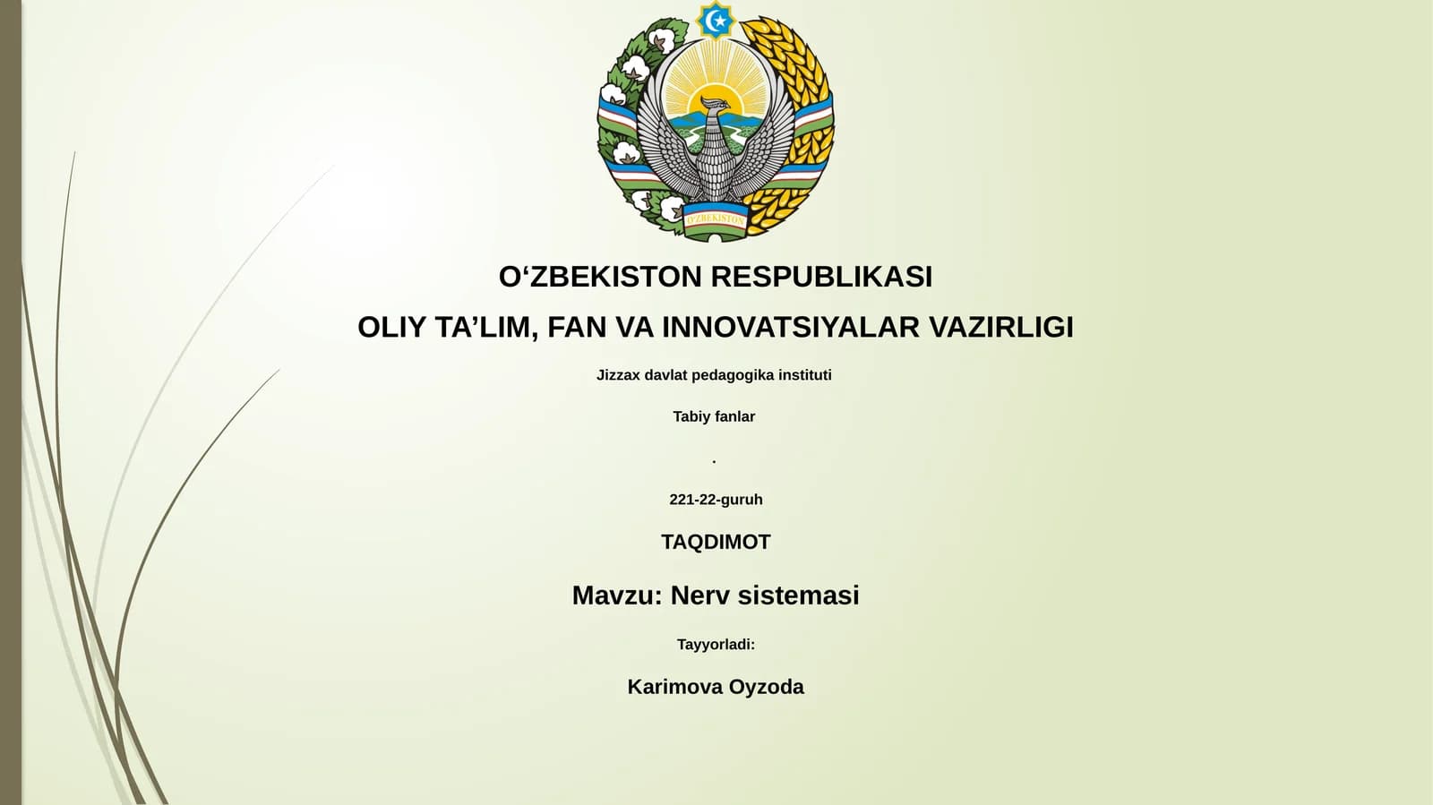 Nerv sistemasi