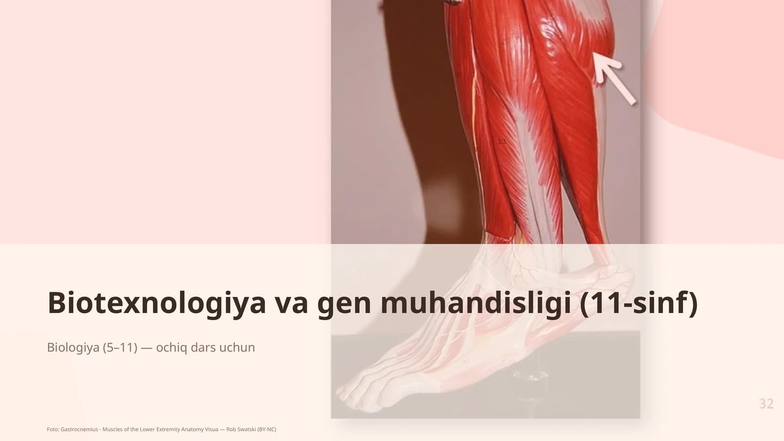 Biotexnologiya va gen muhandisligi (11-sinf)