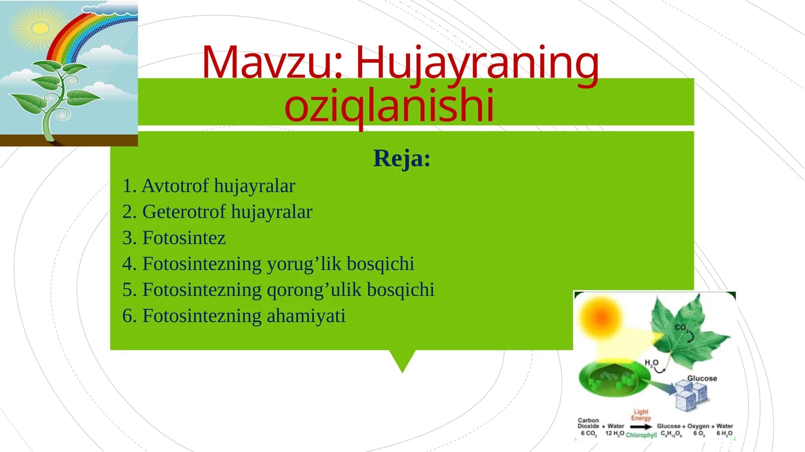 Hujayraning oziqlanishi