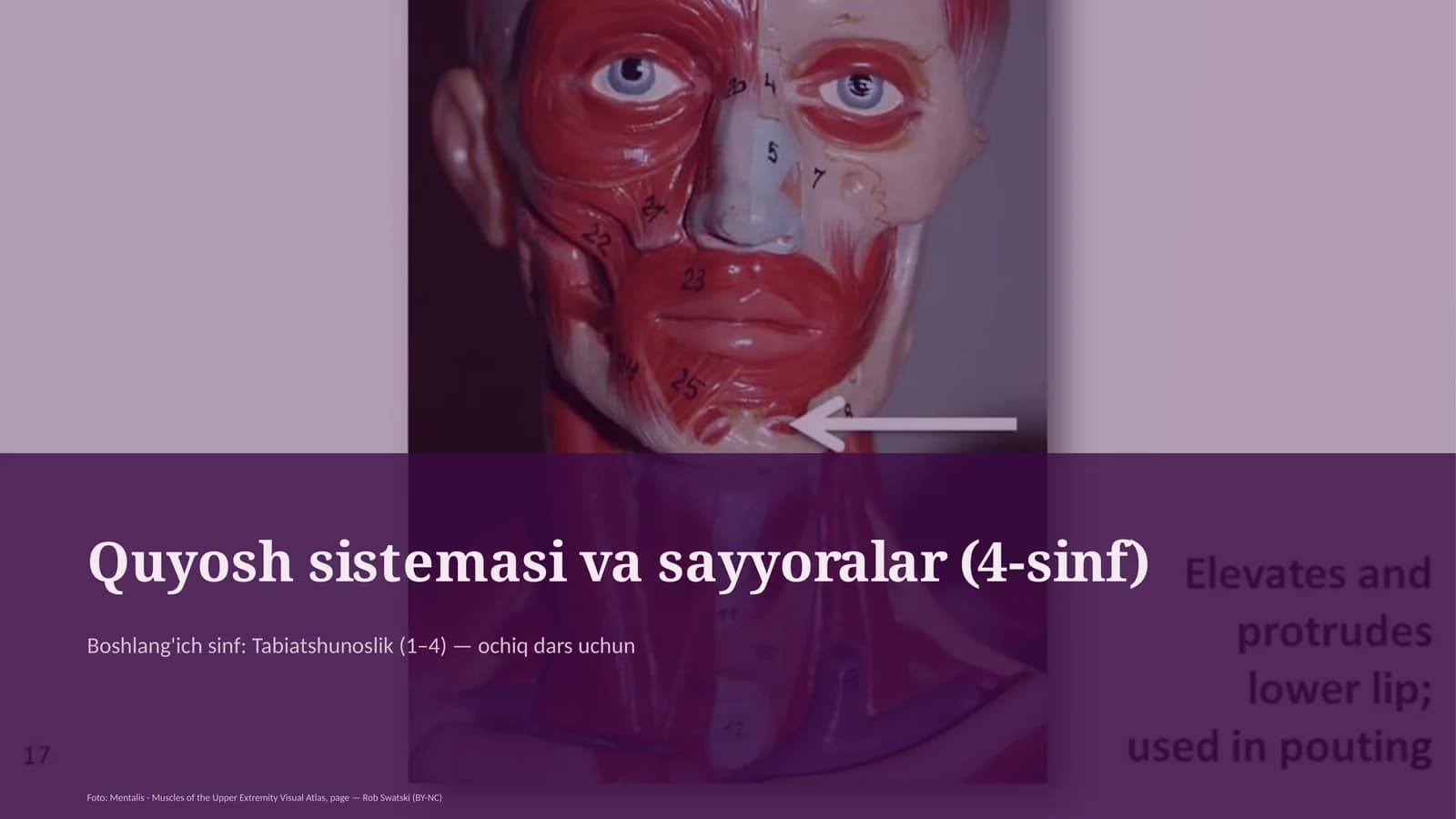 Quyosh sistemasi va sayyoralar (4-sinf)