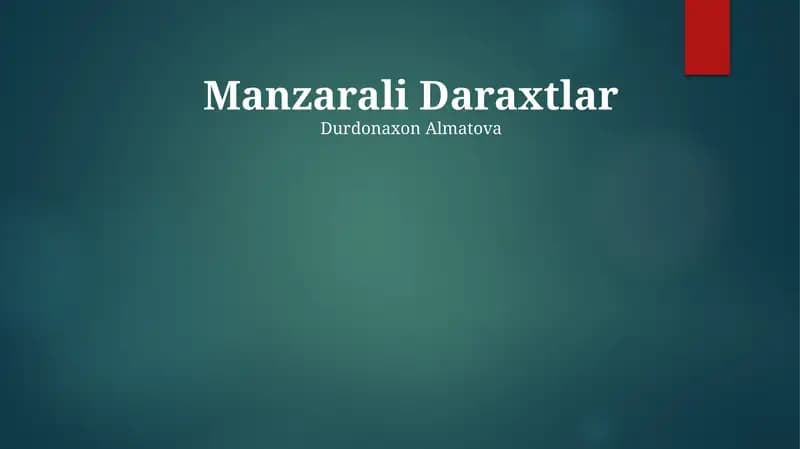 Manzarali Daraxtlar