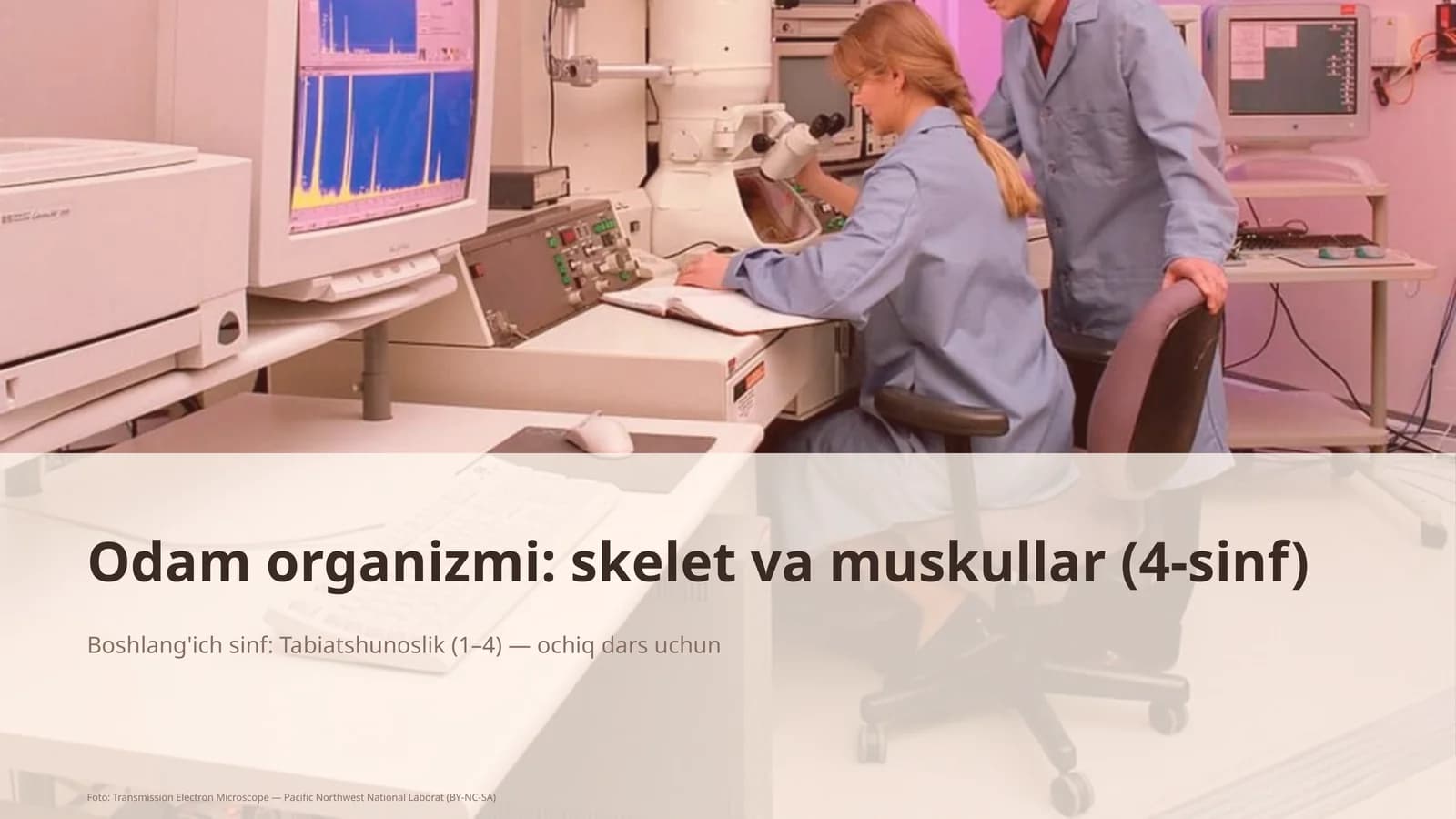 Odam organizmi: skelet va muskullar (4-sinf)