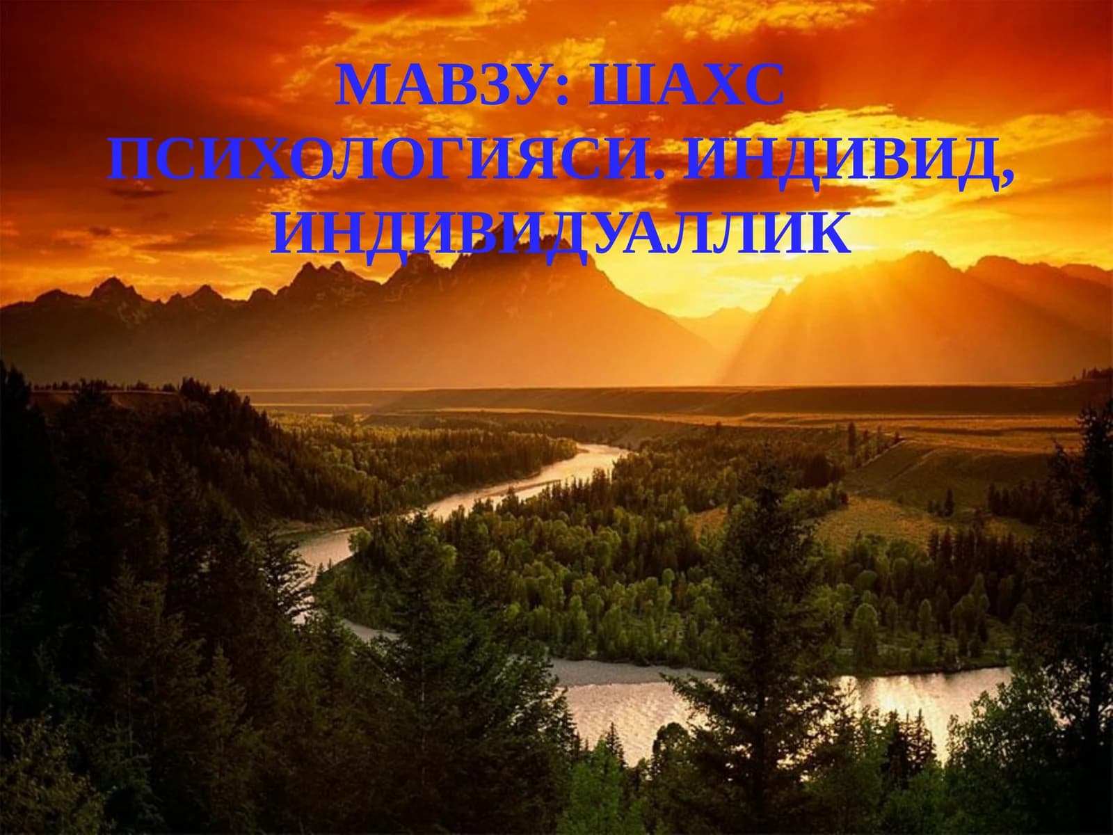 Шахс Психологияси. Индивид, Индивидуаллик