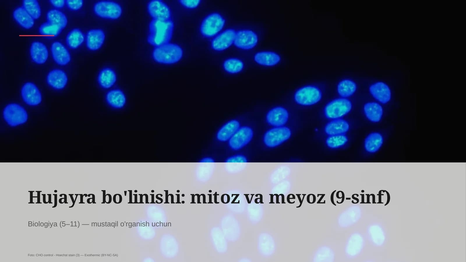 Hujayra bo'linishi: mitoz va meyoz (9-sinf)