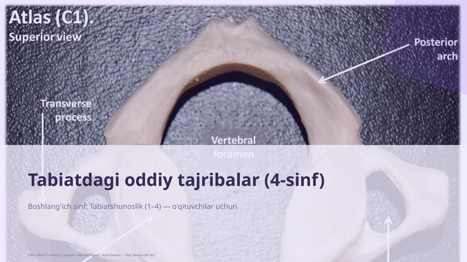 Tabiatdagi oddiy tajribalar (4-sinf)