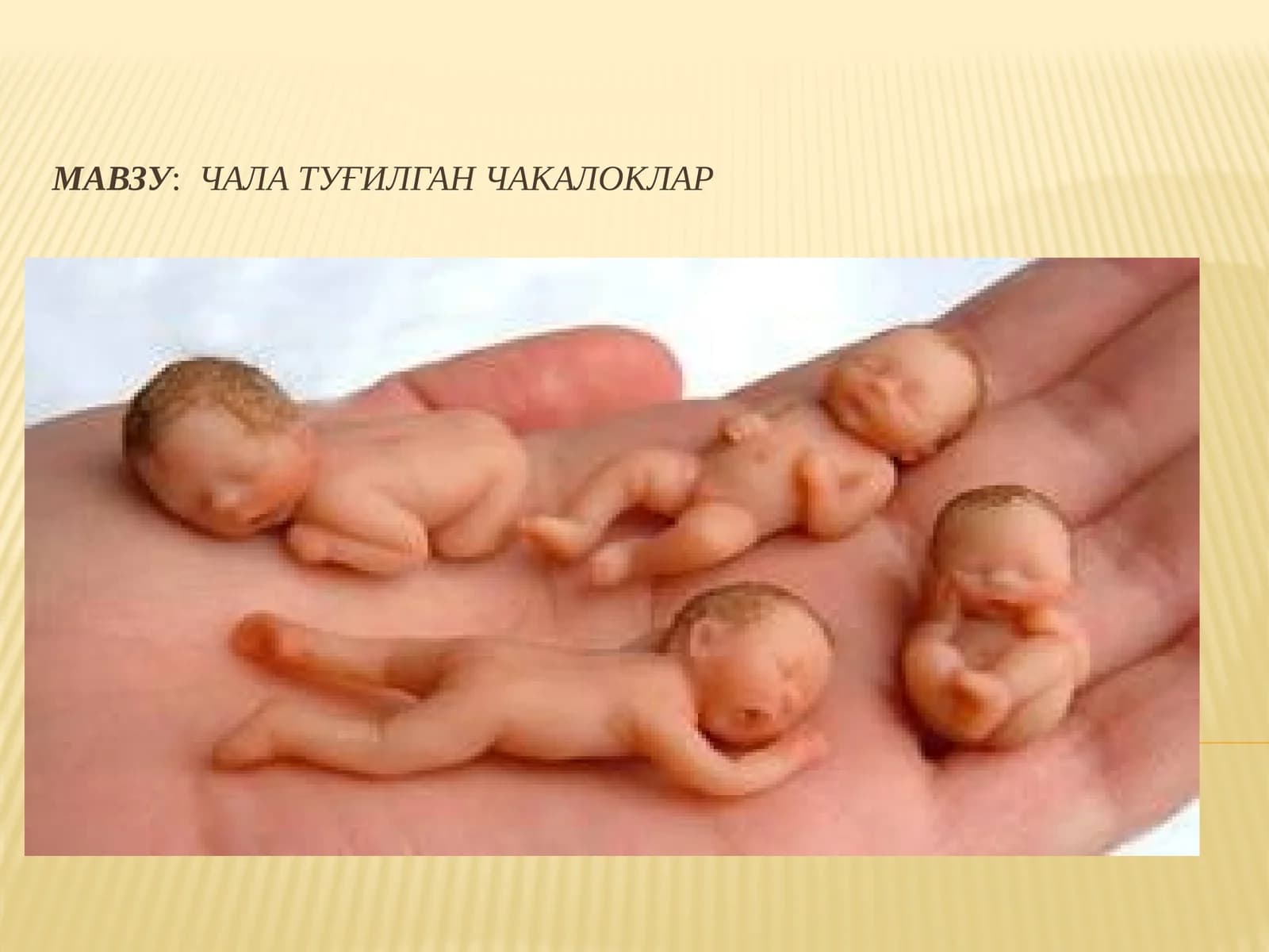 Чалатуғилганчакалоклар