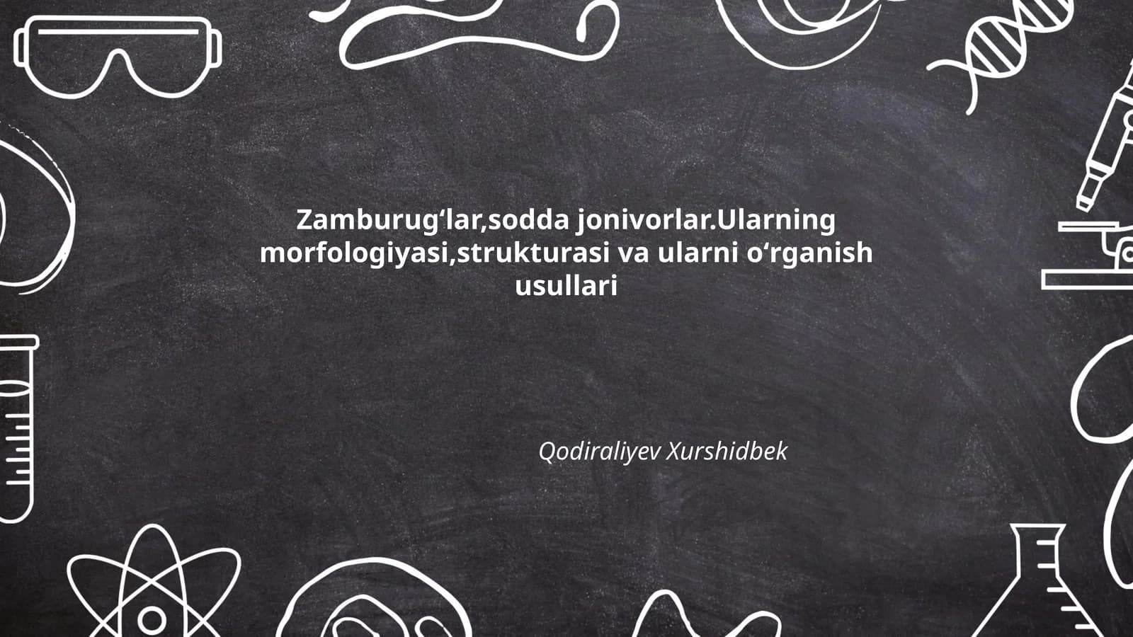 Zamburug'lar,sodda jonivorlar