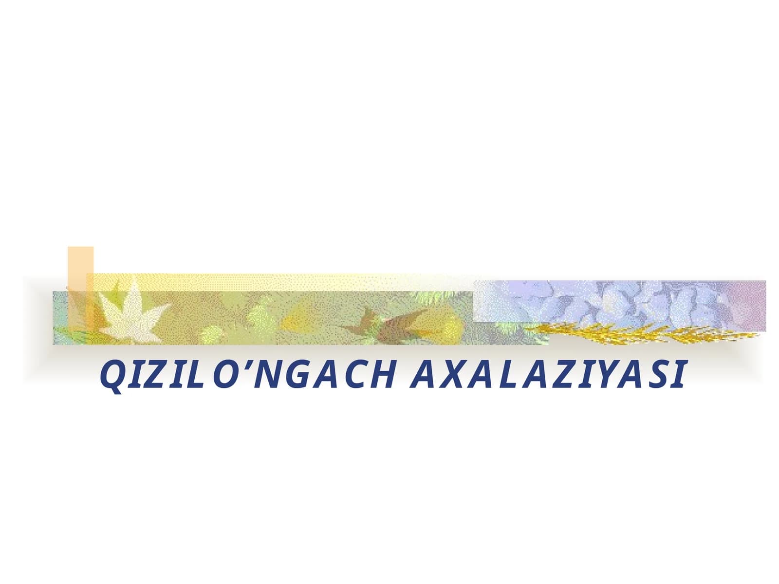 QIZILO’NGACHAXALAZIYASI