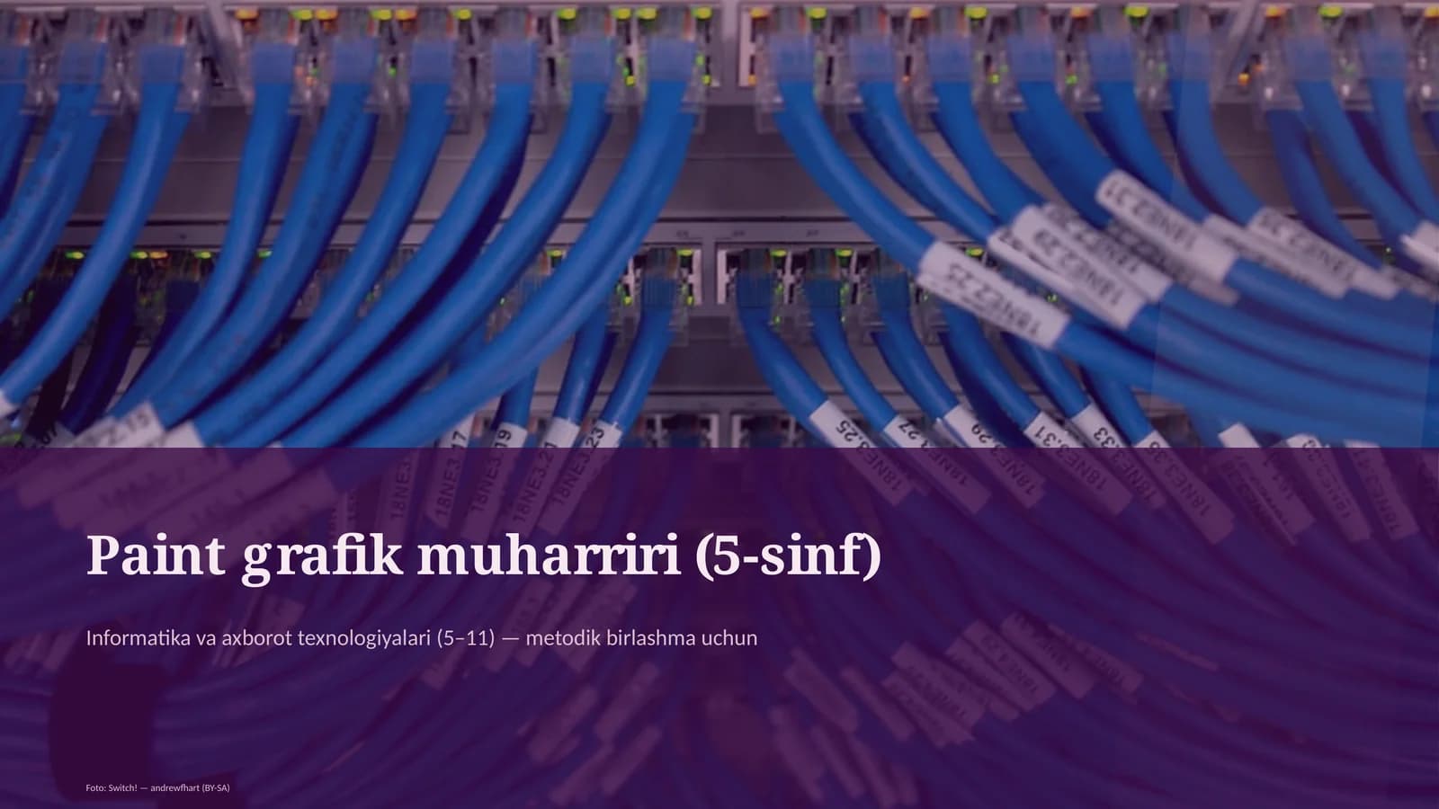 Paint grafik muharriri (5-sinf)