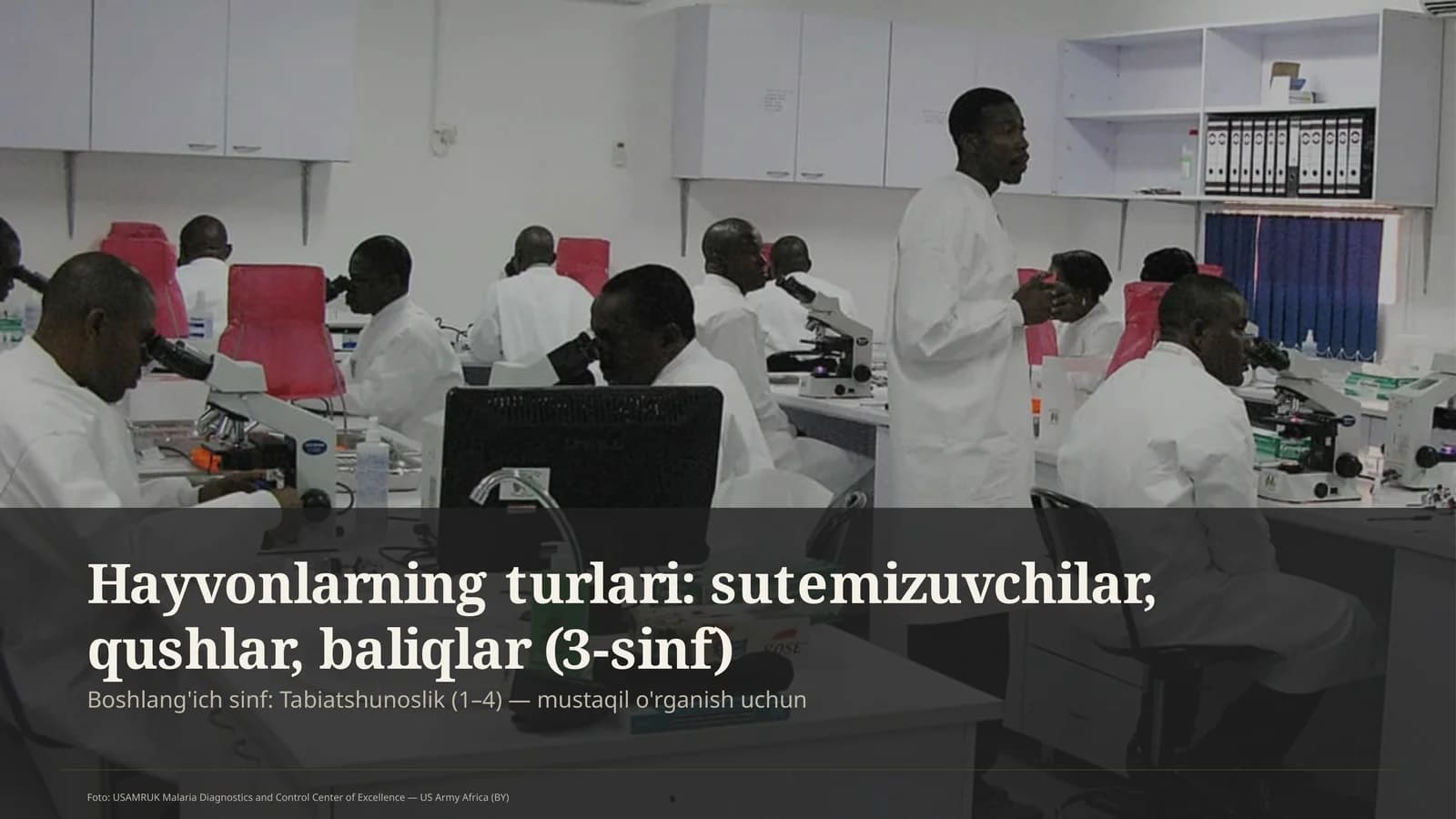 Hayvonlarning turlari: sutemizuvchilar, qushlar, baliqlar (3-sinf)