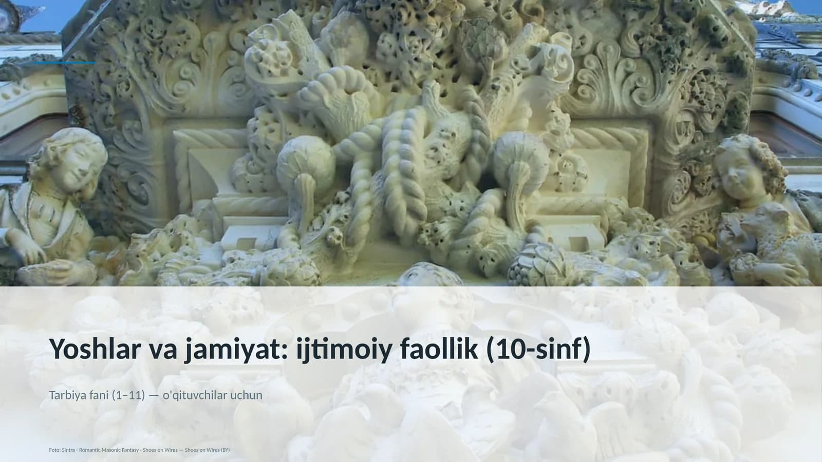 Yoshlar va jamiyat: ijtimoiy faollik (10-sinf)