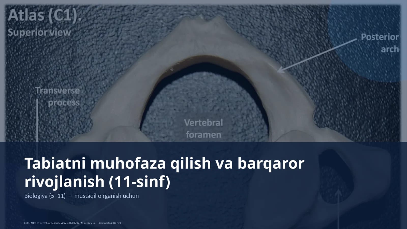 Tabiatni muhofaza qilish va barqaror rivojlanish (11-sinf)
