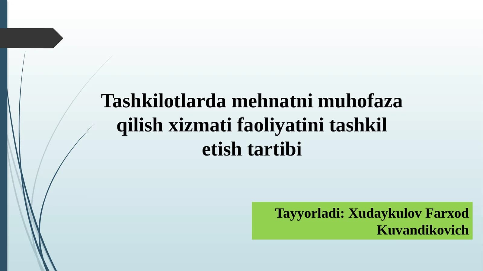 Tashkilotlardamehnatnimuhofazaqilishxizmatifaoliyatini tashkitletishtartibi