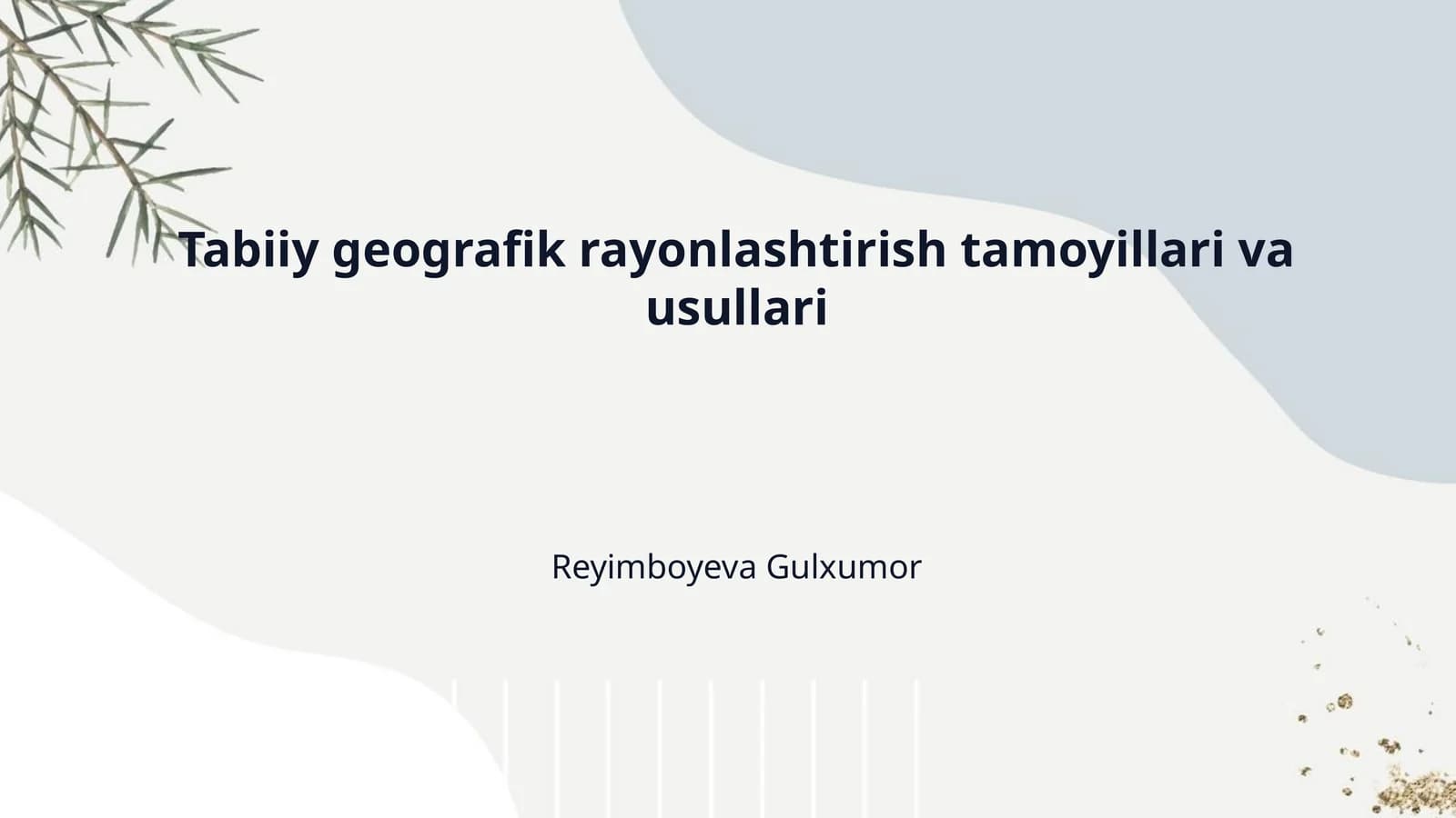 Tabiiy geografik rayonlashtirish tamoyillari va usullari