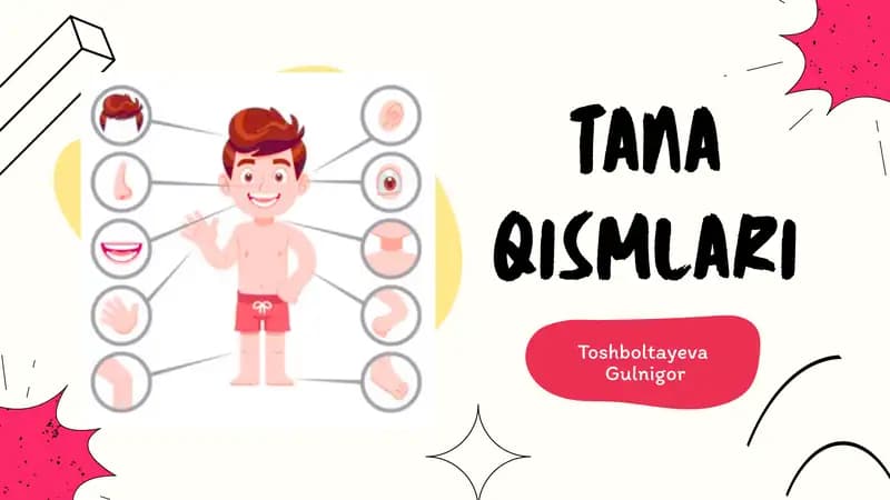 TANA QISMLARI