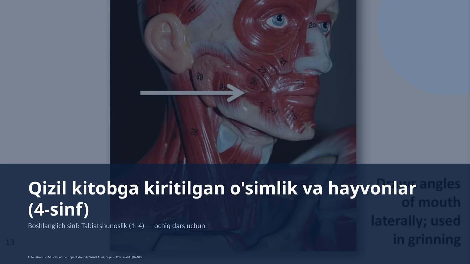 Qizil kitobga kiritilgan o'simlik va hayvonlar (4-sinf)