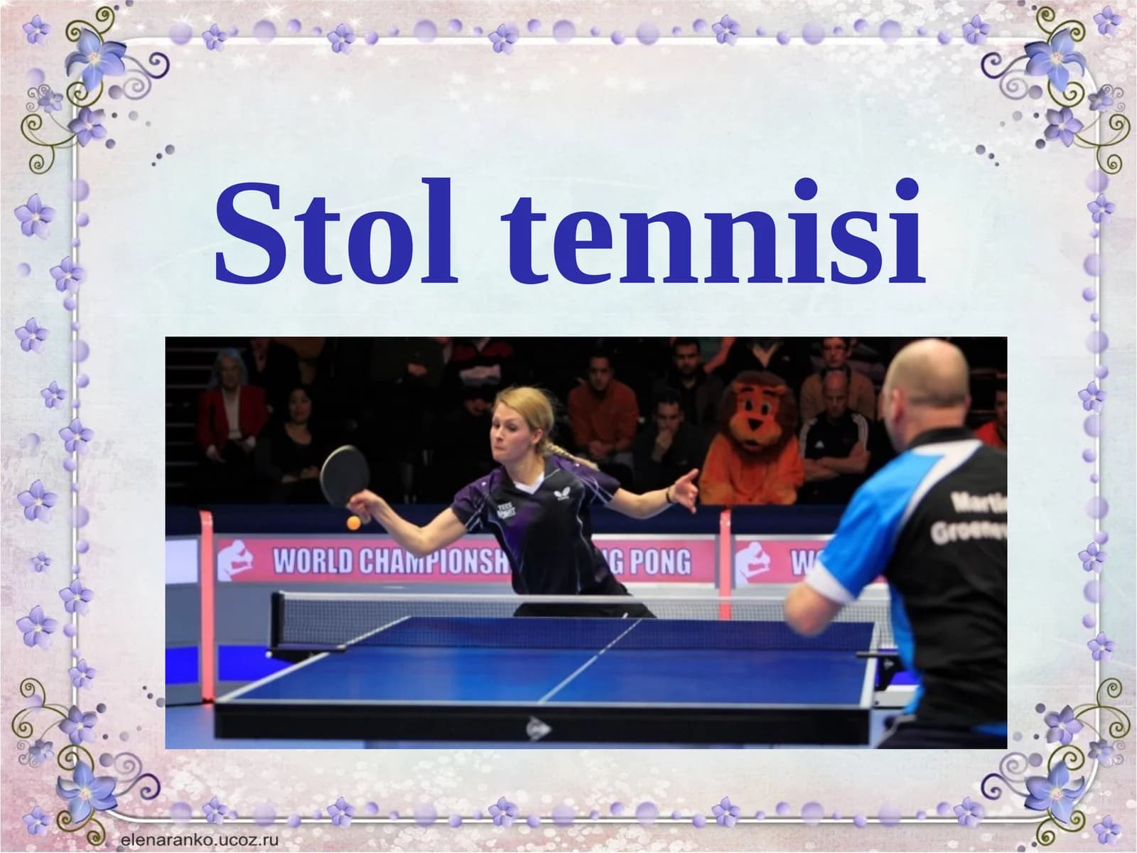 Stoltennisi