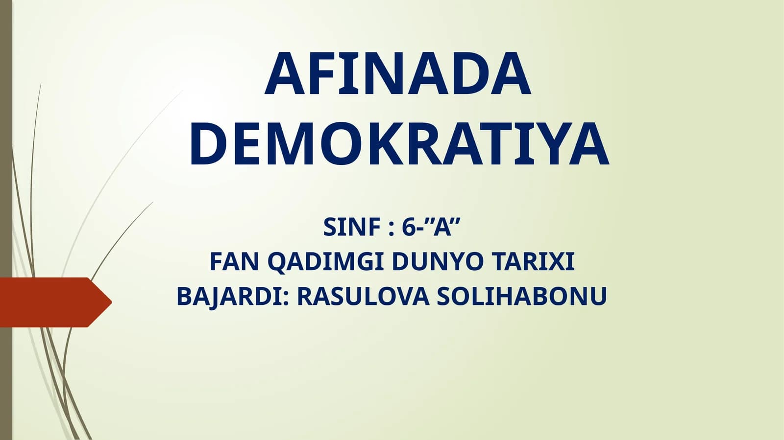 AFINADA DEMOKRATIYA