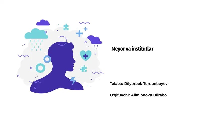 Meyor va institutlar