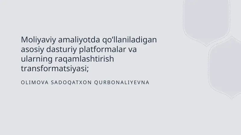 Moliyaviy dasturlar va ularning roli