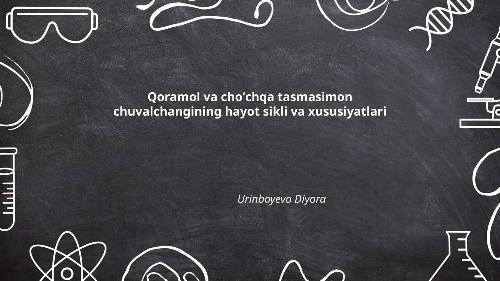 Qoramol va choʻchqa tasmasimon chuvalchangining hayot sikli va xususiyatlari