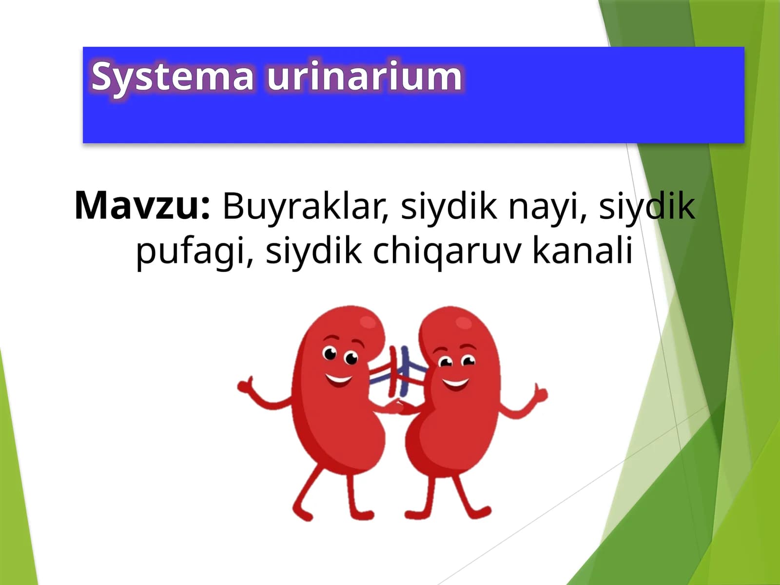 Systemaurinarium