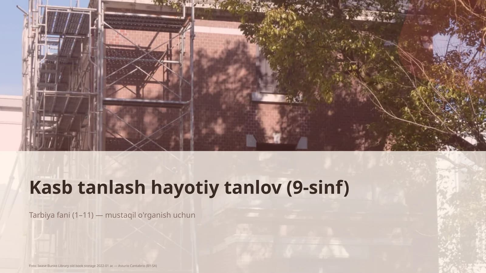 Kasb tanlash hayotiy tanlov (9-sinf)