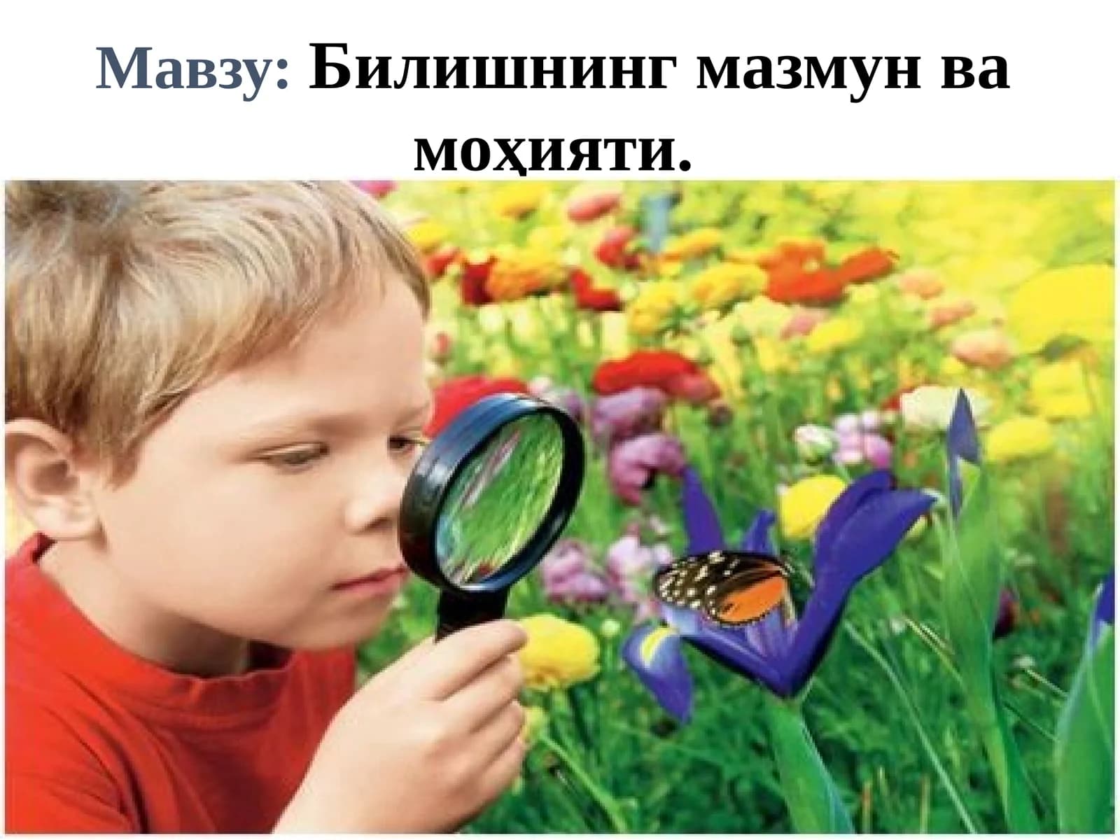 Билишнинг мазмун ва моҳияти