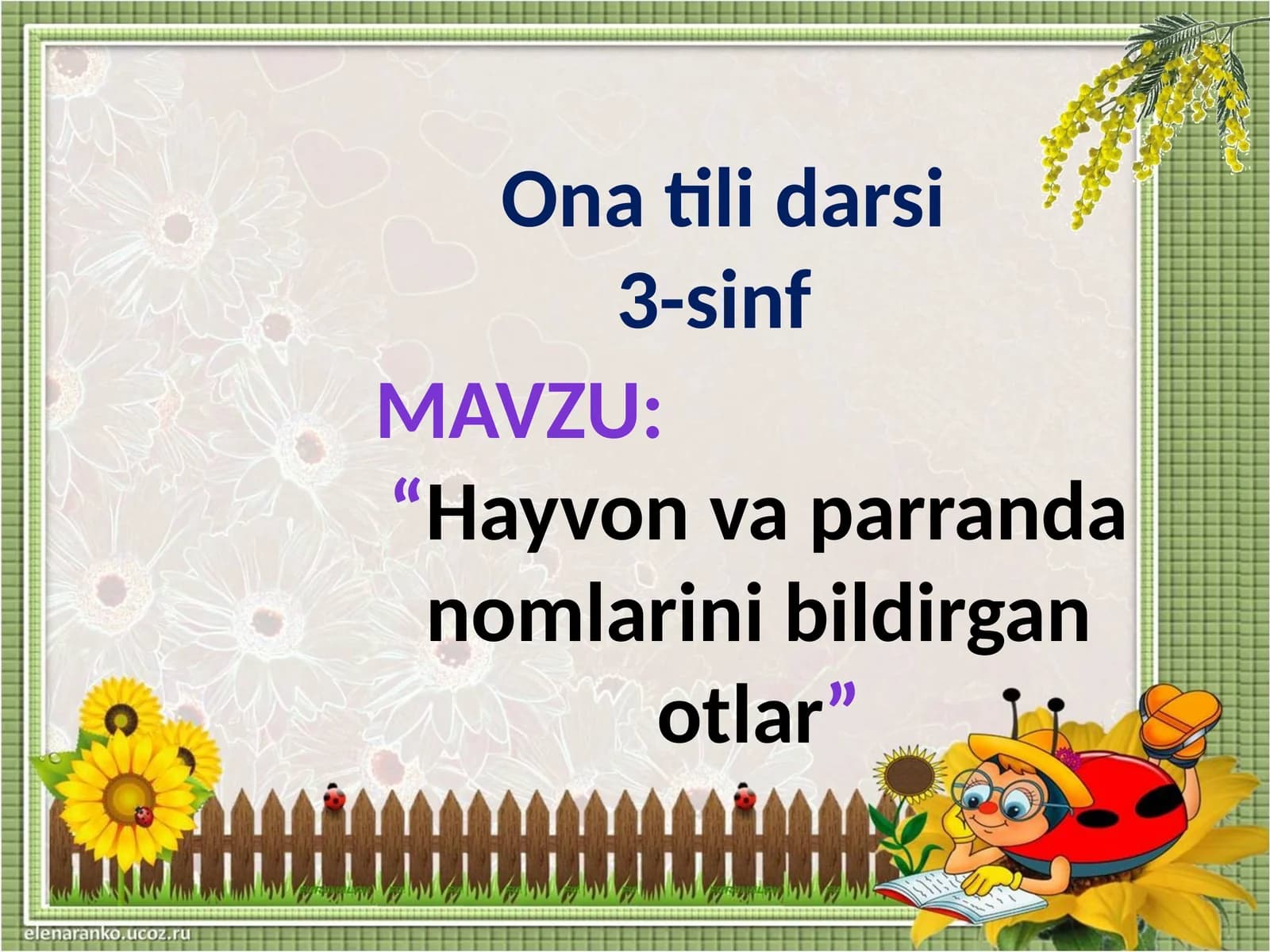 Onatilidarsi3-sinf