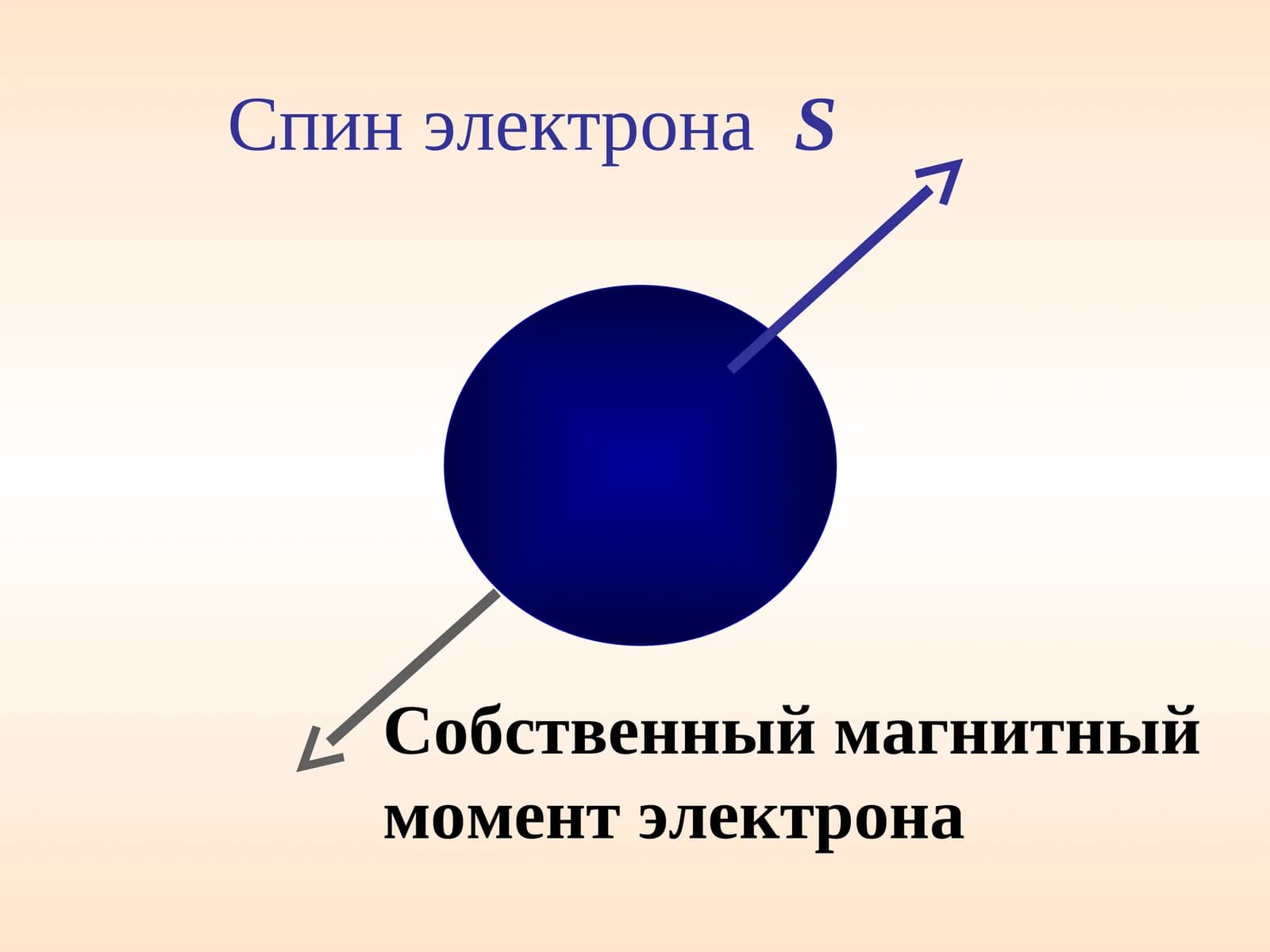 Спин электрона