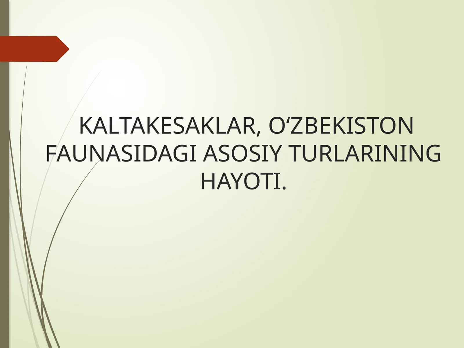 KALTAKESAKLAR,OʻZBEKISTON FAUNASIDAGI ASOSIY TURLARINING HAYOTI