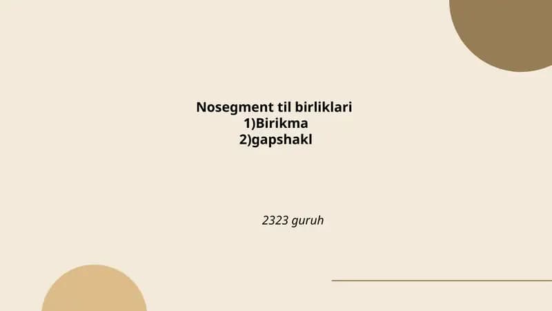 Nosegment til birliklari
