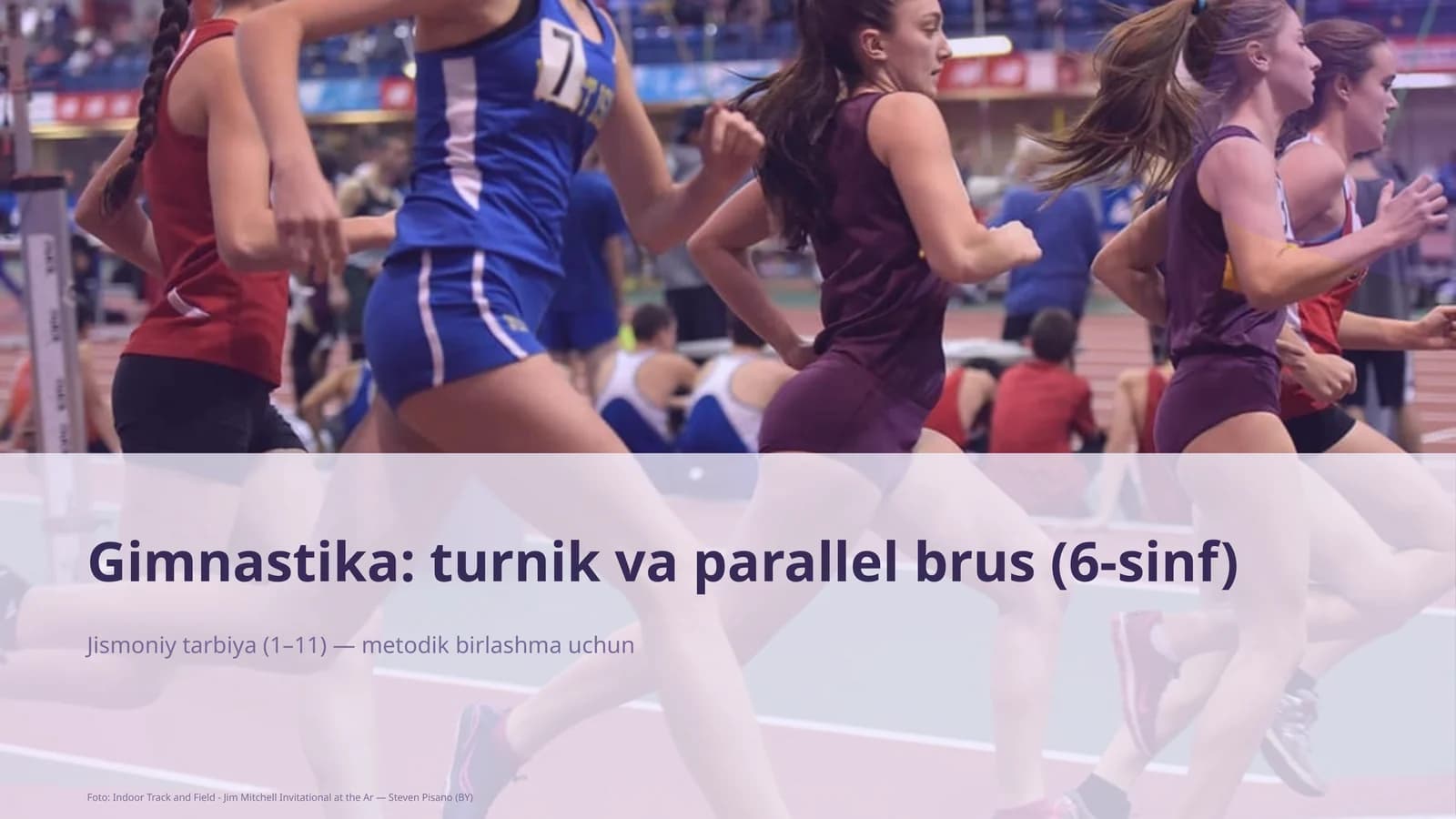 Gimnastika: turnik va parallel brus (6-sinf)