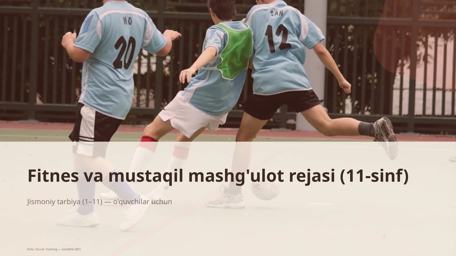 Fitnes va mustaqil mashg'ulot rejasi (11-sinf)