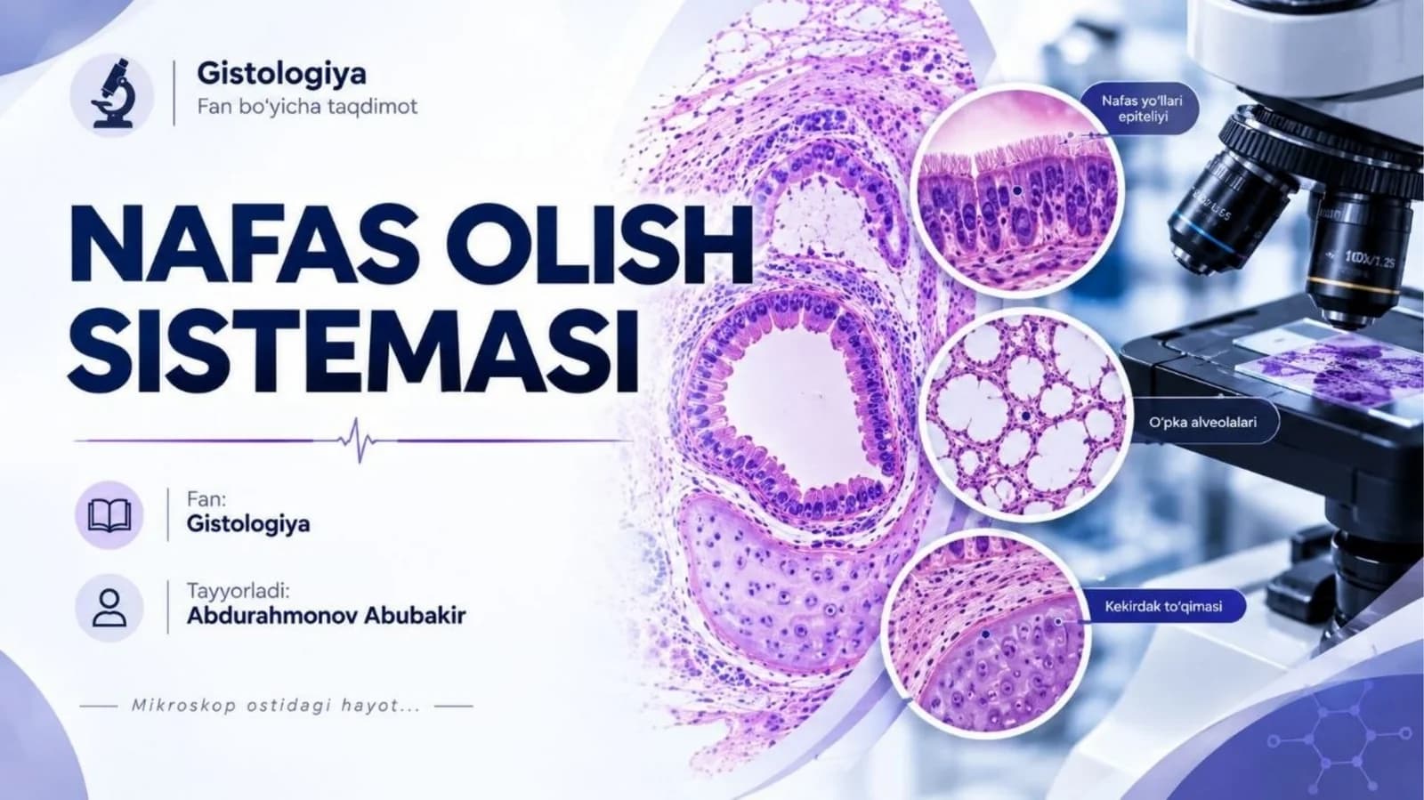 Nafas olish sistemasi