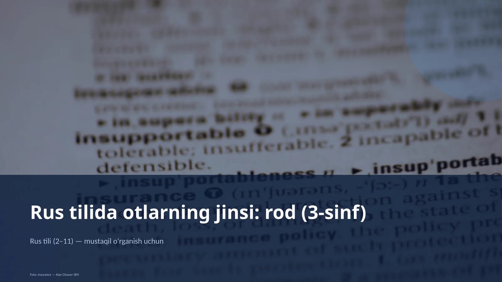 Rus tilida otlarning jinsi: rod (3-sinf)