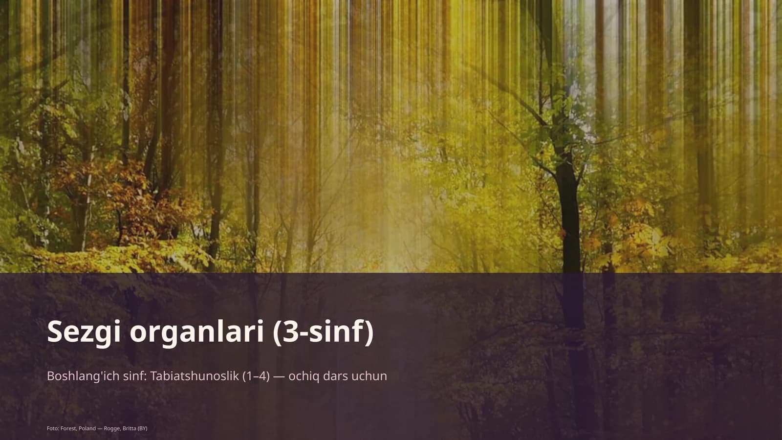 Sezgi organlari (3-sinf)