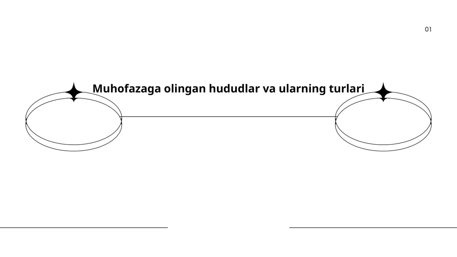 Muhofazaga olingan hududlar va ularning turlari