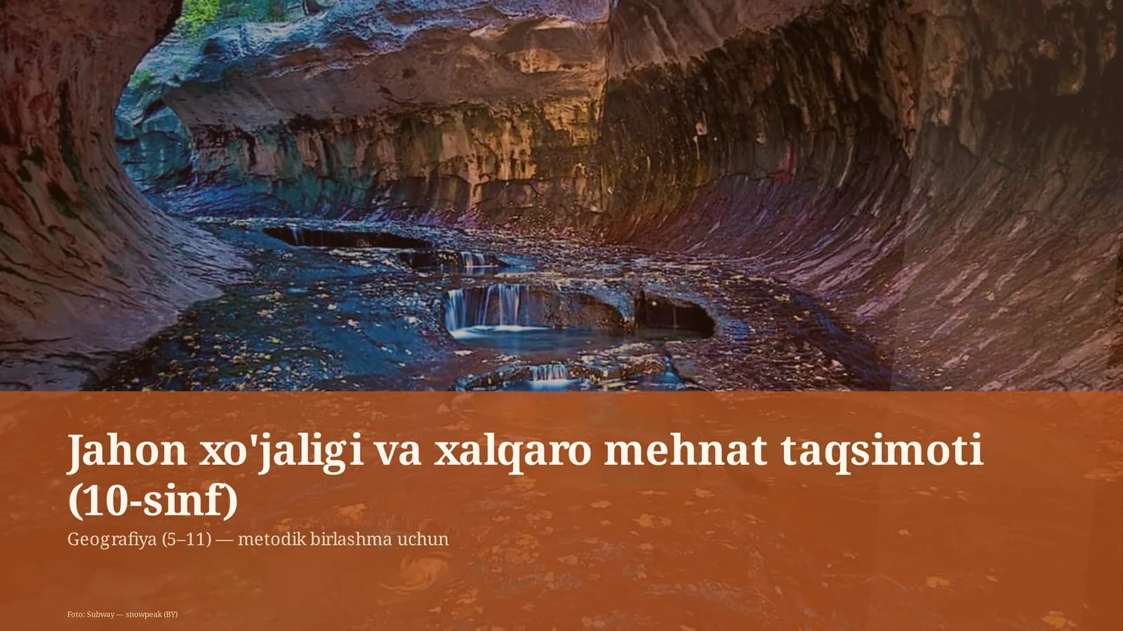 Jahon xo'jaligi va xalqaro mehnat taqsimoti (10-sinf)