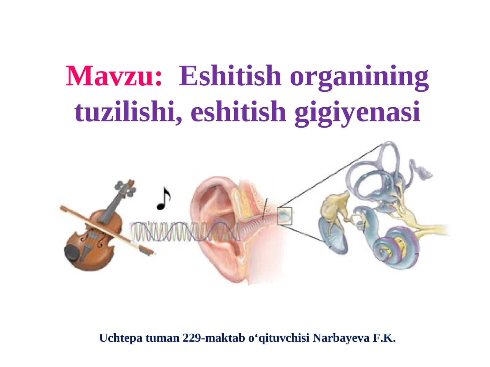 Eshitish organining tuzilishi, eshitish gigiyenasi