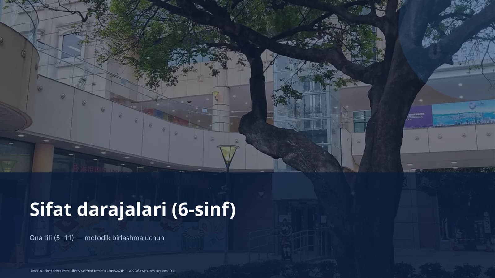 Sifat darajalari (6-sinf)