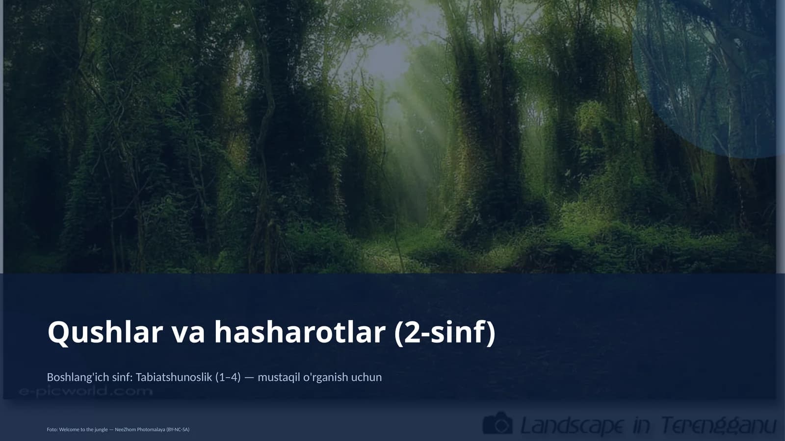 Qushlar va hasharotlar (2-sinf)