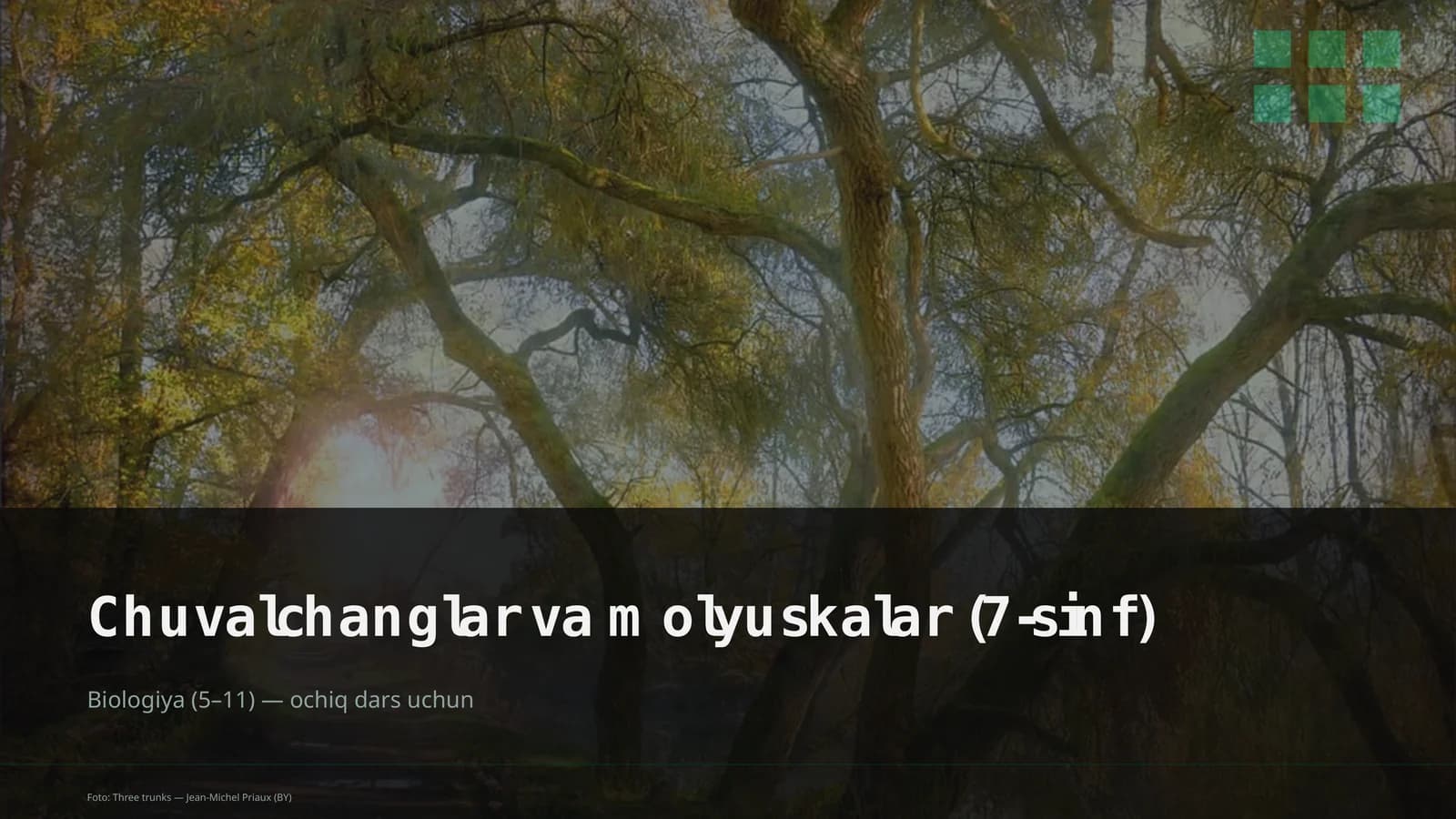 Chuvalchanglar va molyuskalar (7-sinf)