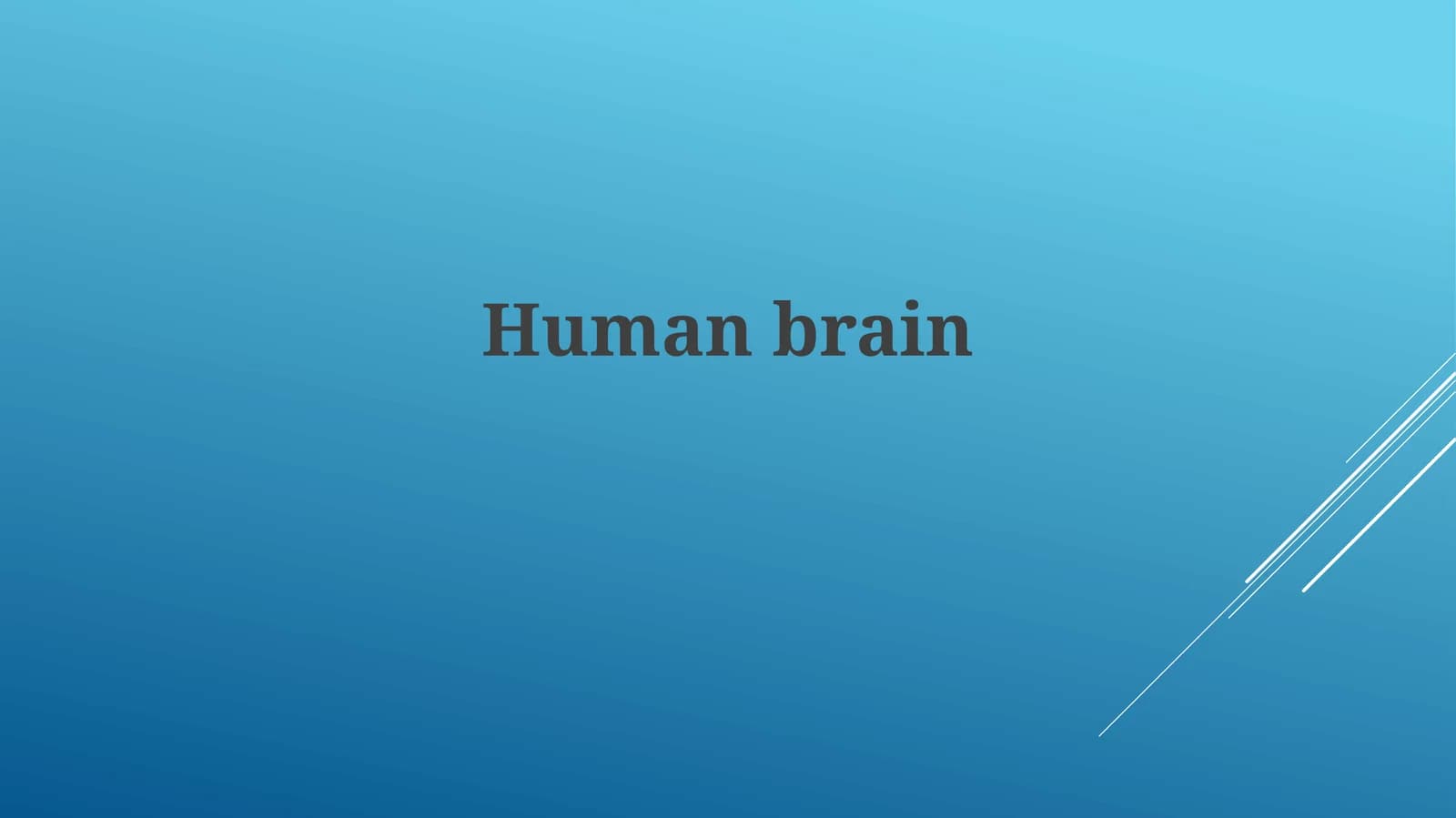 Human brain