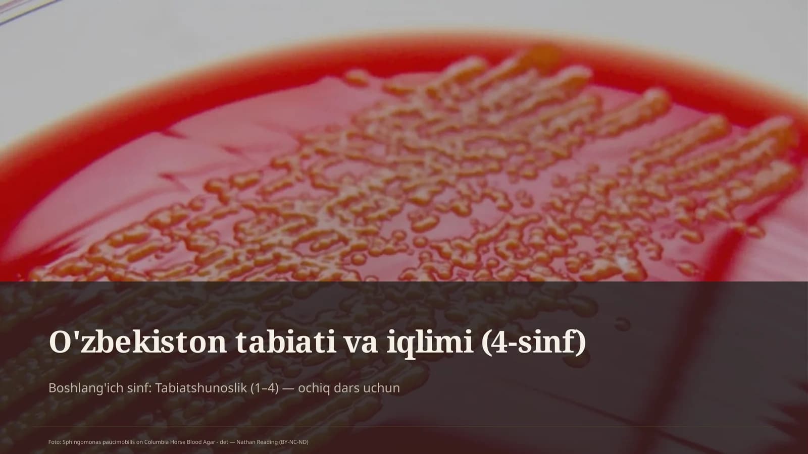 O'zbekiston tabiati va iqlimi (4-sinf)