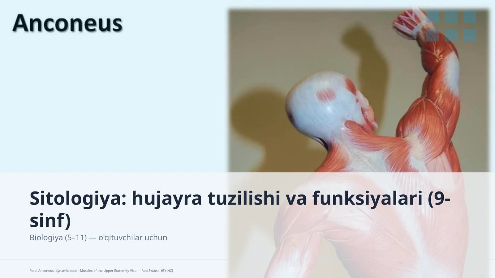 Sitologiya: hujayra tuzilishi va funksiyalari (9-sinf)