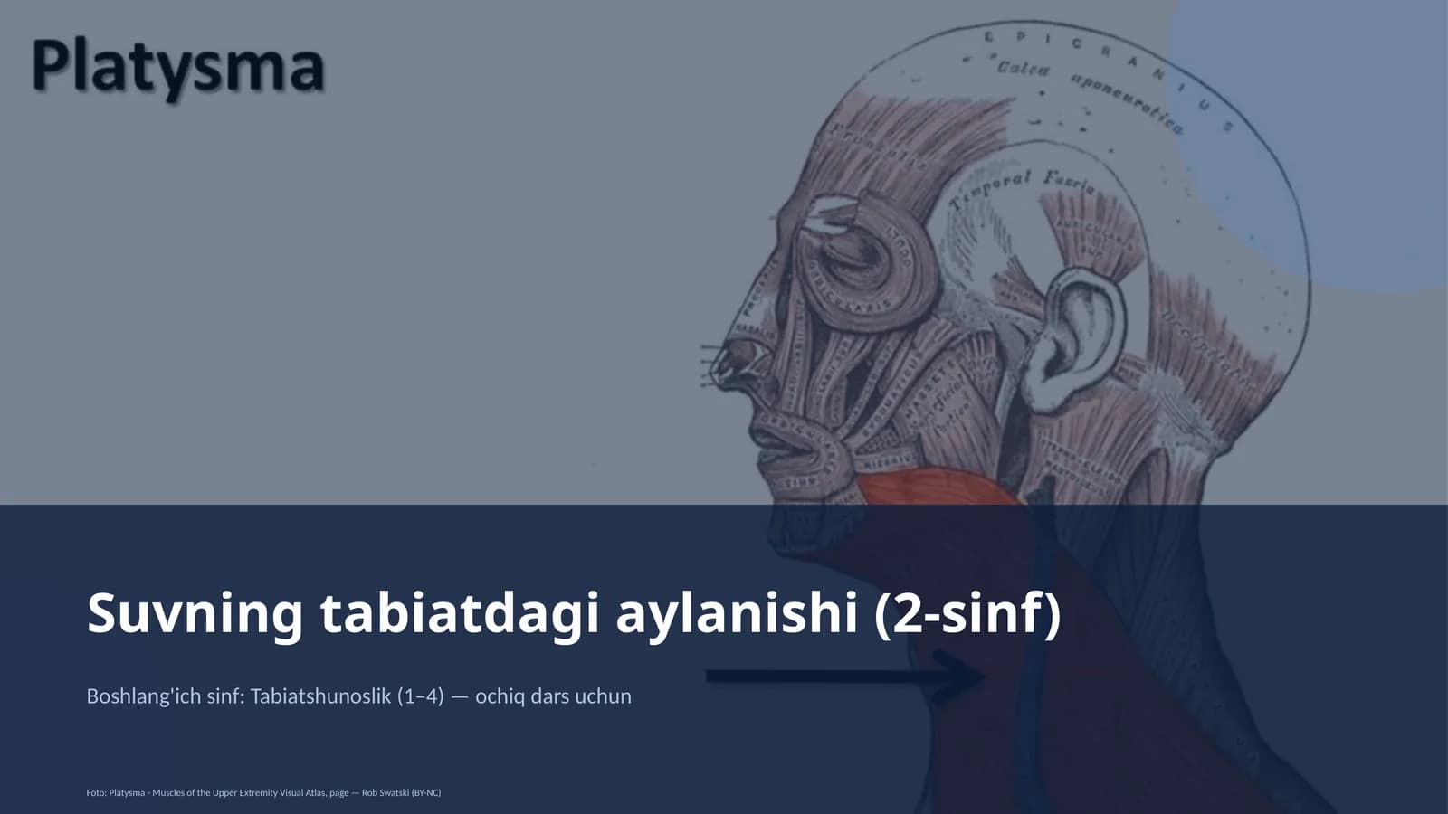 Suvning tabiatdagi aylanishi (2-sinf)