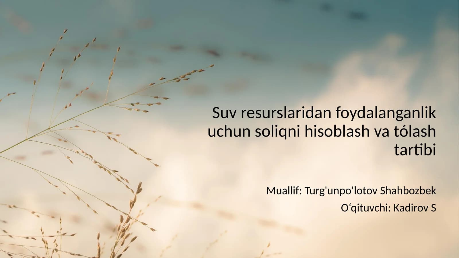 Suv resurslaridan foydalanganlik uchun soliqni hisoblash va tólash tartibi