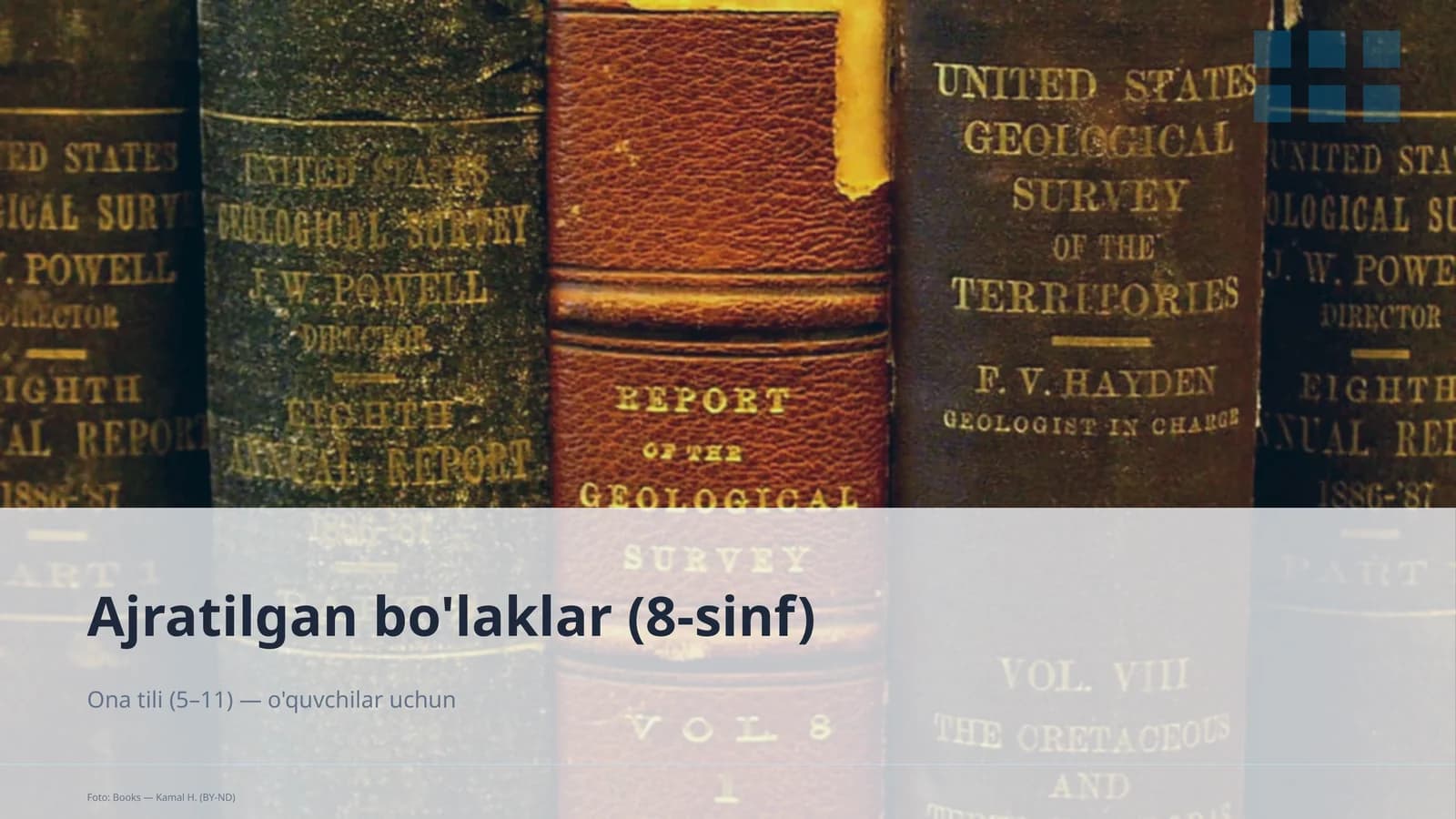 Ajratilgan bo'laklar (8-sinf)